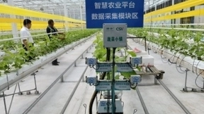 移动云服务“乡村振兴”：山东寿光蔬菜产业迈入数字化时代