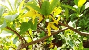 人工智能遭遇伦理困境，未来发展需法治先行