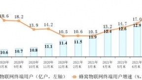 工信部：三大运营商蜂窝物联网终端用户数已达13.06亿