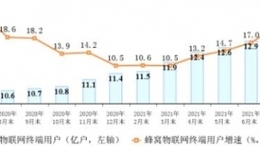 工信部：三大运营商蜂窝物联网终端用户数已达13.06亿