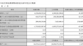 科大讯飞上半年C端智能硬件业务营收同比增长40.72%，未来将开发更多产品