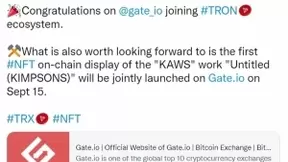 Gate.io正式接入波场，将推出“KAWS”NFT链上首展
