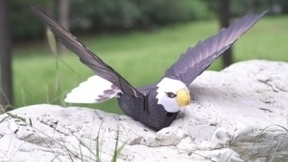 汉王科技秋季发布会召开 多款潮酷新品重磅来袭