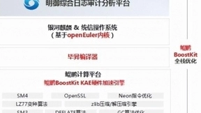 全面感知，主动防御：安恒信息基于鲲鹏打造数字经济的安全基石