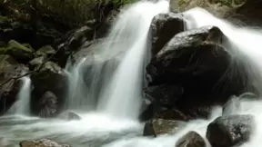 影像大有可为 索尼新一代微单手机Xperia PRO-I发布