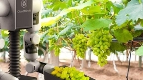 达闼构建元宇宙，机器人苦练摘葡萄