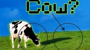 科学家正研究以避免人工智能“走捷径” 从而实现更可靠的预测