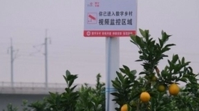 联通5G破译乡村振兴“密码” 助力“智慧农业”生根结果