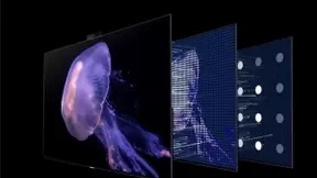 真·下一代显示技术 TCL X12 这块QD-Mini LED屏幕打破视觉边界