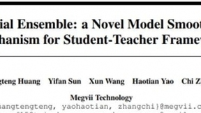 NeurIPS 2021 | 旷视提出：空间集成 ——一种新颖的模型平滑机制