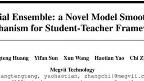 NeurIPS 2021 | 旷视提出：空间集成 ——一种新颖的模型平滑机制