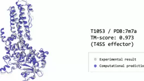 AI+Science愿景的又一实践：深势科技推出蛋白结构预测工具Uni-Fold