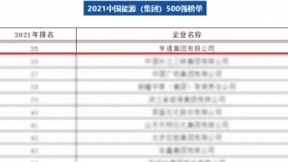 第35位！亨通荣登2021中国能源（集团）500强