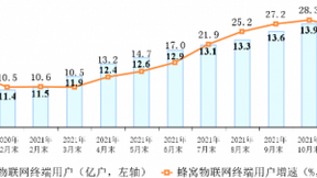 三大运营商蜂窝物联网终端用户达14.03亿户 IPTV用户达3.47亿户