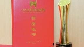 墨奇科技携AI+生物识别解决方案亮相CPSE安博会，荣获两大行业奖项