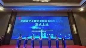 浪潮卓数承建：阜阳市中小微企业综合金融服务平台入选安徽省“城市大脑”应用试点