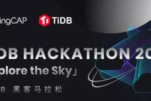 参加过4届TiDB Hackathon是种什么体验？|TiDB Hackathon选手访谈