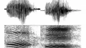 百分点科技：声纹识别技术发展及未来趋势研究