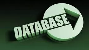 国产数据库产业百花齐放 “1+4+4+N”格局形成