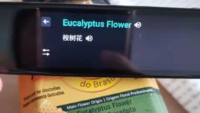 哑巴英语现象明显，讯飞翻译笔为孩子提供良好语言学习环境