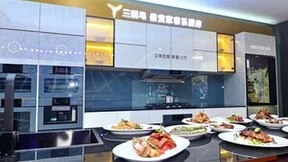 道道家乡味！三翼鸟厨房在《春晚进行时》开家宴