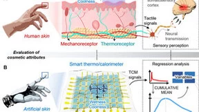 爱茉莉太平洋全球率先成功研发皮肤感觉测量触觉传感器
