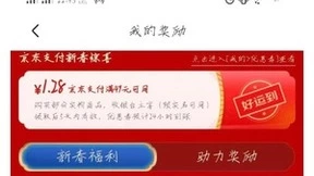 央视春晚互动网友晒单 在京东1分购小米Redmi K40手机