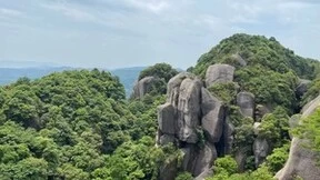 茶界铁杵，坚守生态，杵荼茶业坚持做好茶