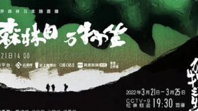 “森林日，万物生”主题直播提前路透，8K纪录片《万物之生》今晚播出