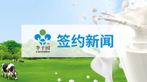 李子园选择泛微