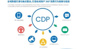 专访 | Whale 帷幄产品负责人刘佳：以数据驱动决策，CDP 赋能品牌营销运营