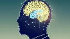 天桥脑科学研究院中国联合集智俱乐部发起“神经动力学模型读书会”