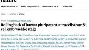 基于华大智造自主研发平台及技术 全球首个非人灵长类动物全细胞图谱发布