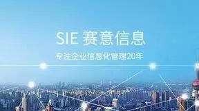 赛意信息2021年收入净利保持高增态势，数字化全栈式服务能力成经营最大亮点