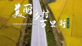 517世界电信日：联通在线沃音乐打造系列主题活动 助推数字经济高质量发展