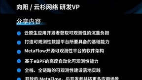 云杉网络MetaFlow即将开源！让观测更自动，让开发者更自由！