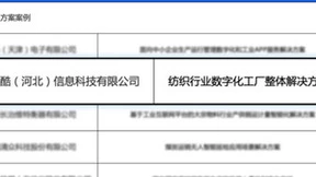 新核云入选国家级数字化转型典型案例库