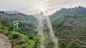 筑牢“防火墙”！中国移动以数智化手段助力森林和草原防灾减灾