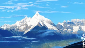 《万物之生》：以8K影像致敬国际生物多样性日