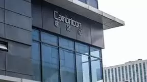 寒武纪2021年业绩说明会：主要股东坚定长期看好寒武纪