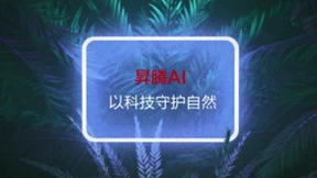 给雪山之王 “AI的豹豹”， 昇腾AI化身雪豹卫士