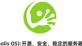 龙蜥社区：Anolis OS 23正式版将于2023年上线
