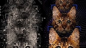 量子计算机处理某些学习任务的速度可以超越经典计算机