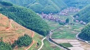 数智技术构建耕地“保护罩” 大华股份用科技力量守护人民的“粮袋子”