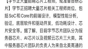 巨头蜂拥芯片赛道，脉脉网友评价：有钱任性