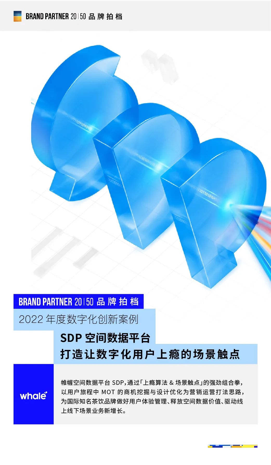 Whale News｜帷幄入选胖鲸「品牌拍档BrandPartner20|50」数字化创新案例