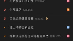 一大批00后即将进入职场，全新荣耀MagicBook 14 锐龙版玩转入职季