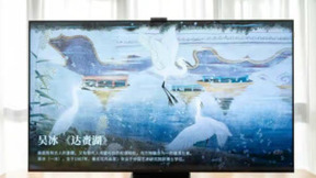 TCL X11化身家庭“温和剂”，画质天花板真不是白给的