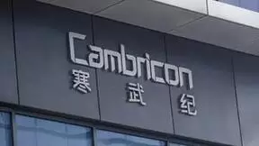 寒武纪2022年半年报：营收增长24.6% 商业客户批量出货