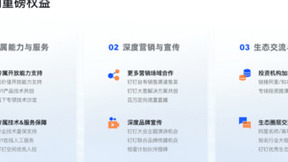 钉钉发布恒星计划，官方销售渠道向生态伙伴开放